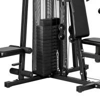 SPORTNOW All-in-One Home Gym Machine, Multifunctional Power Cage with 69 kg Weight Stack and Pulley System, Black(m-10)
