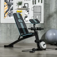 HOMCOM Banco de Musculación Plegable con Respaldo Regulable Extensión de Pierna Cojín de Predicador Banda 160x54x106 cm Negro(m-10)