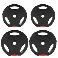 SPORTNOW Disques de poids, plaques de poids 2 x 5 kg et 2 x 7,5 kg, à trois poignées avec trous de Ø 25 mm, noir(m-11)