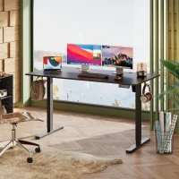 Elektrisch höhenverstellbarer Schreibtisch, leiser Motor, ergonomische einteilige Tischplatte, 100 × 60 cm, 100x60x72-118 cm, Schwarz(m-2)
