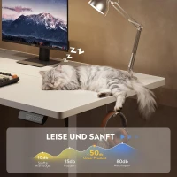 Höhenverstellbarer Schreibtisch, geräuscharmer Motor, stufenlose Verstellung mit Anti-Kollisionssystem, 120 × 60 cm, 120x60x72-118 cm, Weiß(m-7)