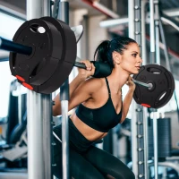 SPORTNOW Kit Pesi con 2 Dischi da 7.5 kg e 2 Dischi da 5 kg in Polipropilene e Sabbia, Ø30x5.5 cm e Ø27x4.5 cm, Nero(m-2)