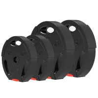 SPORTNOW Kit Pesi con 2 Dischi da 5 kg e 2 Dischi da 2.5 kg in Polipropilene e Sabbia, Ø27x4.5 cm e Ø24x3.5 cm, Nero(m-11)