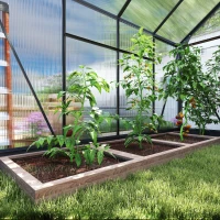 Outsunny Seră din Policarbonat, Seră Exterioară Durabilă cu Cadru din Aluminiu, Ușă și Fereastră pentru Ventilație, 6,2'x8,3'x6,6' Gri(m-9)