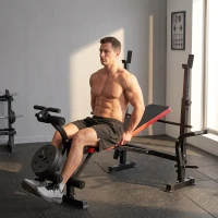 HOMCOM Hantelbank ohne Gewichte, verstellbare Fitnessbank für zahlreiche Übungen,  Workout-Station, Stahl, Kunststoff, Schwarz+Rot(m-8)