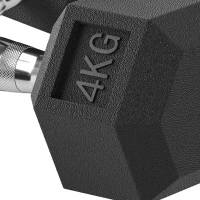 HOMCOM hexagon dumbbells handvat gekarteld 2 x 4 kg(m-10)