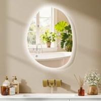 HOMCOM 70 x 50 cm Asymmetrischer Badspiegel mit LED-Licht, Smart Touch Schalter, Anti-Beschlag-Funktion, Silber(m-2)