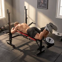 HOMCOM Banco de Musculación Multifuncional, Banco de Pesas con Respaldo Ajustable, Soporte para Barras Regulable, Extensión de Piernas, Curl de Predicador, Mariposa, Entrenamiento Casa Gimnasio, Rojo(m-9)