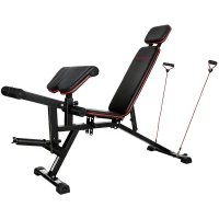 SPORTNOW Verstelbare halterbank tot 300 kg 3-in-1 trainingsbank met wieltjes Beentrainer Curlbank hoofdsteun weerstandsbanden(m-10)