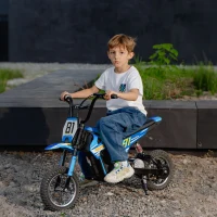 AIYAPLAY Moto Eléctrica para Niños 24V con Motor 250W Velocidad de 6-16km/h Ruedas de 12'' para Niños de 8-12 Años Azul(m-10)