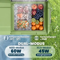 Outsunny 24,2 liter campingkoelkast, autokoelkast, koelbox met LED-licht, AC- en DC-adapter, stille werking, Grijs+Groen(m-4)