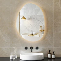 HOMCOM 70 x 50 cm Asymmetrischer Badspiegel mit LED-Licht, Smart Touch Schalter, Anti-Beschlag-Funktion, Silber(m-10)