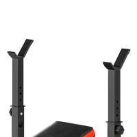 HOMCOM Hantelbank zonder Gewichten, Verstelbare Fitnessbank voor Tal van Oefeningen, Workout-Station, Staal, Kunststof, Zwart+Rood(m-13)