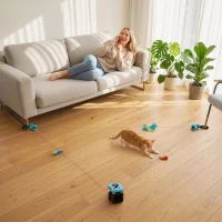 PawHut Interactive Cat Toy for Indoor Kittens & Adult with Adjustable Speed, DIY Track & Mouse Sound(m-9)
