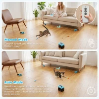 PawHut Interactive Cat Toy for Indoor Kittens & Adult with Adjustable Speed, DIY Track & Mouse Sound(m-4)