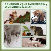 PawHut Arbre à Chat avec Griffoir, Centre d'Activités, Plateformes, Coussin, 45 x 45 x 91 cm, Vert et Beige(m-7)