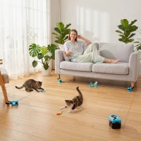 PawHut Interactive Cat Toy for Indoor Kittens & Adult with Adjustable Speed, DIY Track & Mouse Sound(m-2)