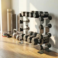SPORTNOW Soporte para Mancuernas de 4 Niveles Estante de Pesas de Acero Resistente para Gimnasio Casa Carga 200 kg 70x21x55 cm(m-8)
