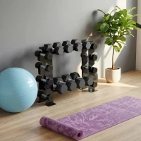 SPORTNOW Soporte para Mancuernas de 4 Niveles Estante de Pesas de Acero Resistente para Gimnasio Casa Carga 200 kg 70x21x55 cm(m-9)