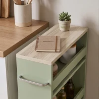 kleankin Carrito de Almacenamiento de 3 Niveles con Ruedas y Asa 48x15x80 cm Verde(m-7)