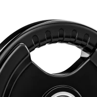 SPORTNOW halterplaat, set van 2 stuks, 10 kg per plaat, drie handgrepen, vloerbeschermende rubberen hoes, metaal(m-12)