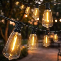 HOMCOM Ghirlandă Luminoasă de Exterior cu 50 de Luminite LED IP44, din PET și Plastic, 18x0.38x0.09 m, Negru și Transparent(m-11)