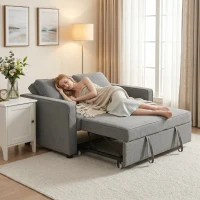 HOMCOM 3 în 1 Canapea Extensibilă 2 Locuri cu Spătar Reglabil pe 3 Poziții, 2 Perne, Material Textil Tip In Gri(m-8)