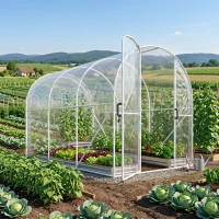 Outsunny Polytunnel Greenhouse Walk-in Grow House with PE Cover, Door and Galvanised Steel Frame, 3 x 2 x 2m, Clear(m-10)
