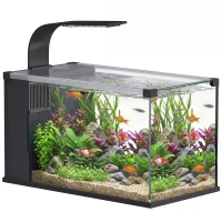 PawHut Acvariu, 24L din Sticlă Securizată cu Filtru, Lumină LED și Pompă de Apă(m-11)