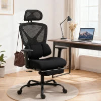 HOMCOM Ergonomischer Bürostuhl mit Rollen, Netzstoff, Lendenstütze, Computerstuhl mit Armlehnen, verstellbare Kopfstütze(m-2)