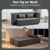 HOMCOM 2-Sitzer-Schlafsofa aus Schaumstoff, Schlafcouch mit breiten Armlehnen, 2 Kissen, 360 kg Belastbarkeit, Grau(m-4)