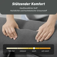 HOMCOM 2-Sitzer-Schlafsofa aus Schaumstoff, Schlafcouch mit breiten Armlehnen, 2 Kissen, 360 kg Belastbarkeit, Grau(m-5)