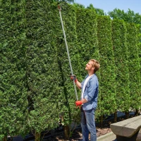 Outsunny Tijeras de Podar de Jardín 180 cm con Mango de Aluminio Ligero y Resistente Cuchilla Metálica para Poda de Ramas Altas Plata(m-2)