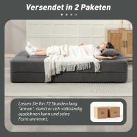 HOMCOM 2-Sitzer-Schlafsofa aus Schaumstoff, Schlafcouch mit breiten Armlehnen, 2 Kissen, 360 kg Belastbarkeit, Grau(m-9)