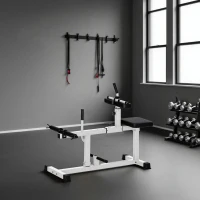 SPORTNOW Macchina per Polpacci Seduti Regolabile, per Allenamento Gambe Polpacci, Vita e Braccia, Palestra Casa Domestica, Bianco(m-9)