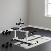 SPORTNOW Macchina per Polpacci Seduti Regolabile, per Allenamento Gambe Polpacci, Vita e Braccia, Palestra Casa Domestica, Bianco(m-7)