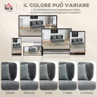 HOMCOM Divano 2 Posti in Ciniglia con Seduta Ampia, Imbottitura Spessa, 2 Cuscini, Gambe in Legno Caucciù, Grigio(m-7)
