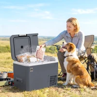Outsunny Frigorifero da Auto Portatile 25L e Congelatore con Controllo App, 58x33x38.3 cm, Grigio(m-8)