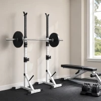 HOMCOM Set van 2 Dumbbellstandaards met 3 Niveaus Hoogteverstelbaar uit Staal tot 200 kg Belastbaar Zilver+Zwart(m-9)
