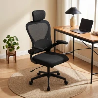 HOMCOM Bürostuhl Ergonomischer Schreibtischstuhl mit Hochklappbaren Armlehnen, Verstellbarer Lendenwirbelstütze Schwarz(m-9)