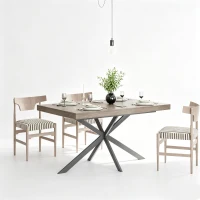 Tavolo da pranzo allungabile per 4-6 persone con spazio a scomparsa ed estensione scorrevole, 160x80x76 cm, Grigio(m-6)