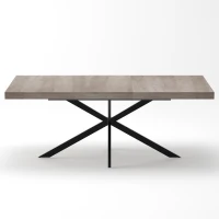 Tavolo da pranzo allungabile per 4-6 persone con spazio a scomparsa ed estensione scorrevole, 160x80x76 cm, Grigio(m-2)