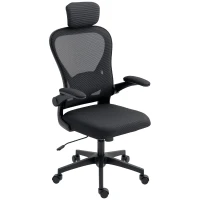 HOMCOM Bürostuhl Ergonomischer Schreibtischstuhl mit Hochklappbaren Armlehnen, Verstellbarer Lendenwirbelstütze Schwarz(m-1)
