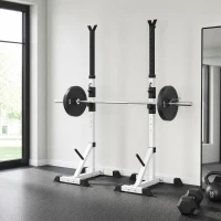 HOMCOM Set van 2 Dumbbellstandaards met 3 Niveaus Hoogteverstelbaar uit Staal tot 200 kg Belastbaar Zilver+Zwart(m-8)
