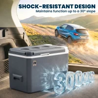 Outsunny Frigorifero da Auto Portatile 25L e Congelatore con Controllo App, 58x33x38.3 cm, Grigio(m-7)
