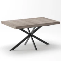 Tavolo da pranzo allungabile per 4-6 persone con spazio a scomparsa ed estensione scorrevole, 160x80x76 cm, Grigio(m-7)