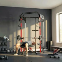 SPORTNOW Jaula de Potencia Rack para Sentadillas con Sistema Polea Ajustable Barra Dominadas y Estación de Fondos(m-9)