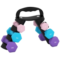 SPORTNOW Hantelset mit Aufbewahrungsgestell, Set mit 6 Hanteln für Fitness-Training, 2 x 1kg, 2 x 2kg, 2 x 3kg
