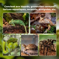PawHut Boîte à Reptiles, Habitat de Terrarium Transparent, Couvercle Coulissant en Treillis Métallique, 30 x 30 x 20 cm, Noir(m-7)