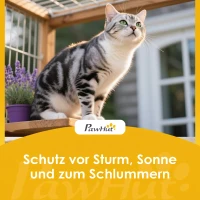 PawHut Wetterfest Katzenhaus mit aufklappbarem Dach herausnehmbarem Boden Eingang für 1-2 Katzen bis 12 kg 85x55x70 cm Hellgrau(m-9)